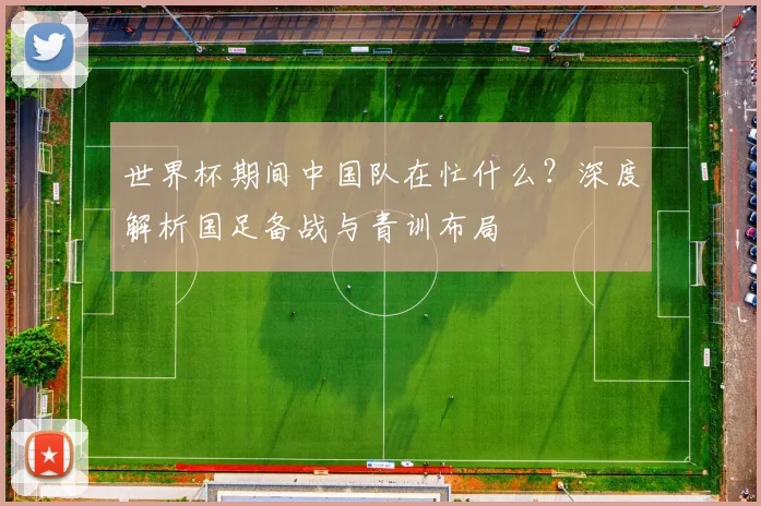 世界杯期间中国队在忙什么？深度解析国足备战与青训布局