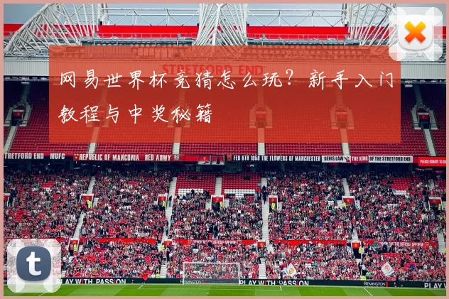 网易世界杯竞猜怎么玩?新手入门教程与中奖秘籍