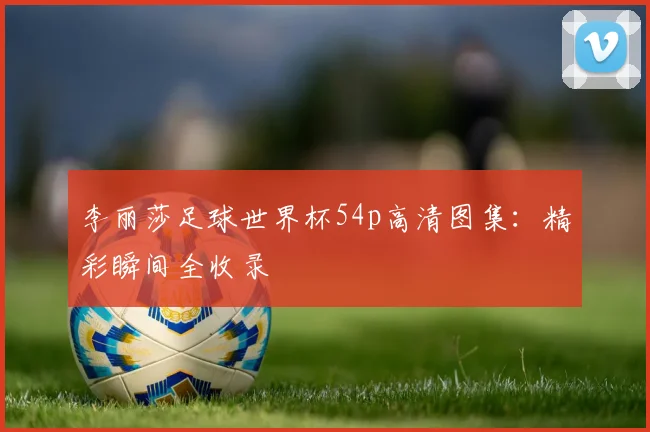 李丽莎足球世界杯54p高清图集：精彩瞬间全收录