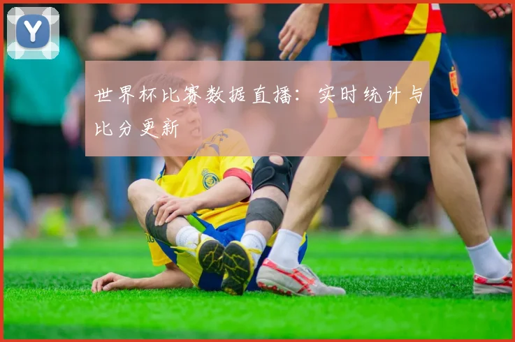 世界杯比赛数据直播:实时统计与比分更新