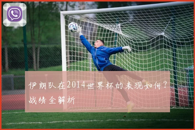 伊朗队在2014世界杯的表现如何?战绩全解析