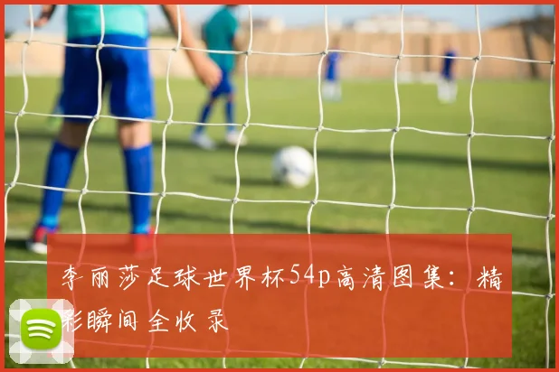 李丽莎足球世界杯54p高清图集:精彩瞬间全收录