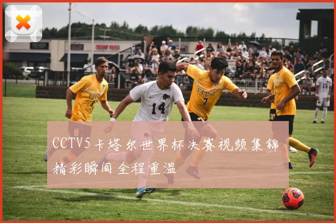 CCTV5卡塔尔世界杯决赛视频集锦 精彩瞬间全程重温