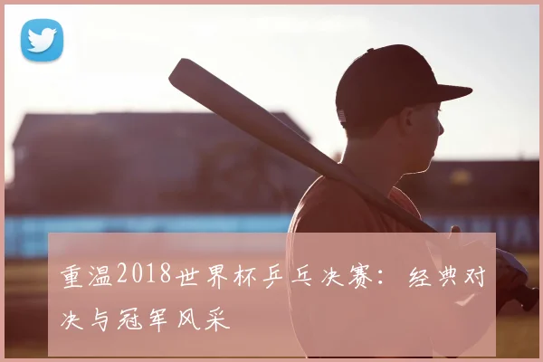 重温2018世界杯乒乓决赛:经典对决与冠军风采