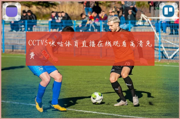 CCTV5咪咕体育直播在线观看高清免费