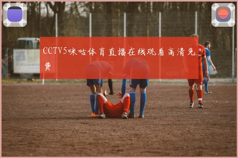 CCTV5咪咕体育直播在线观看高清免费