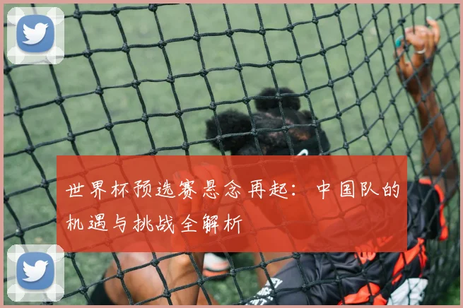 世界杯预选赛悬念再起：中国队的机遇与挑战全解析